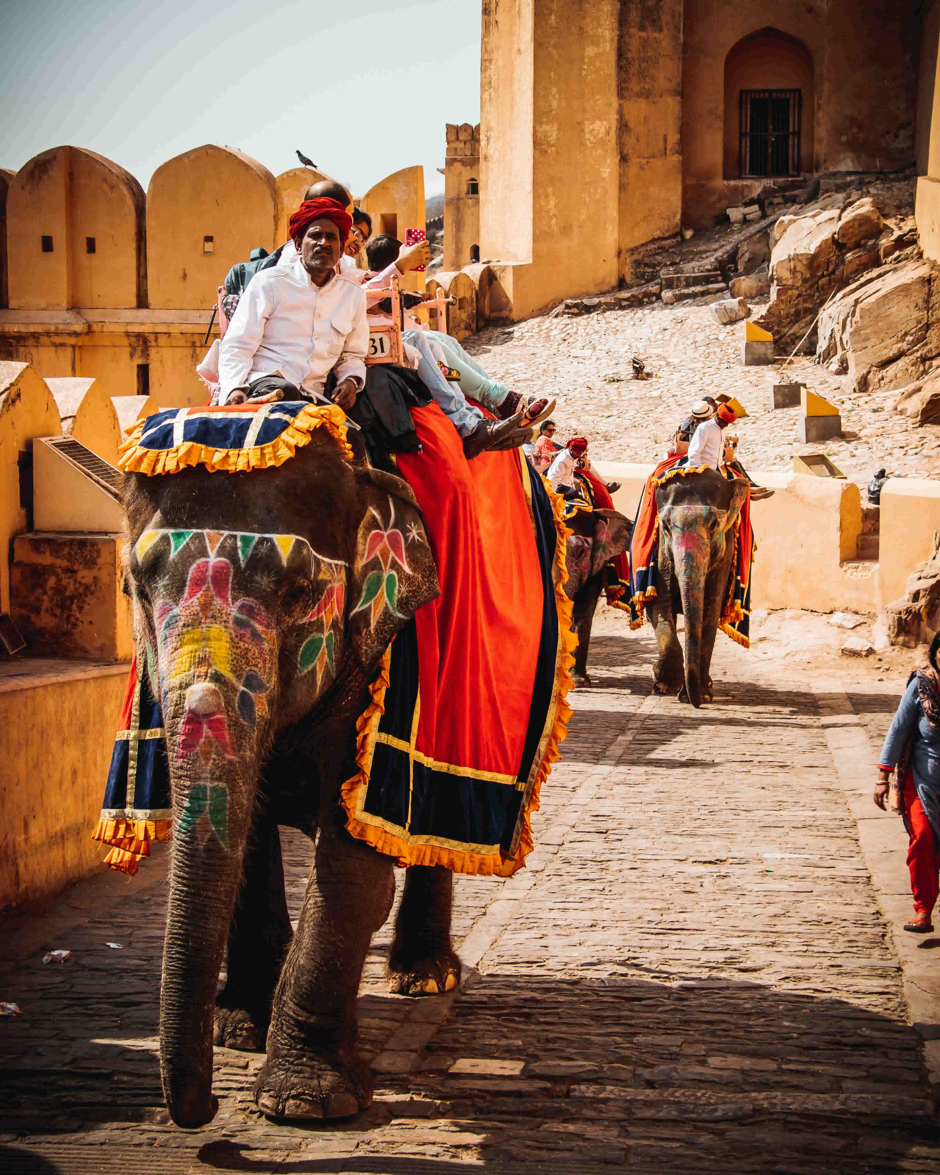 Rajasthan through local eyes